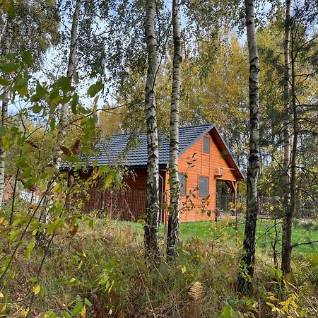 Domek Letniskowy Pod Brzozami Na Roztoczu Wsrod Lasow, Zamosc, Krasnobrod, Zwierzyniec Adamow  Luaran gambar