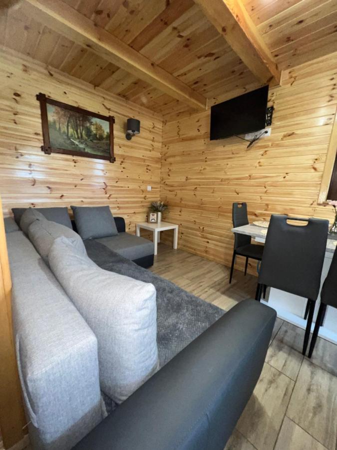 Domek Letniskowy Pod Brzozami Na Roztoczu Wsrod Lasow, Zamosc, Krasnobrod, Zwierzyniec Adamow  Luaran gambar