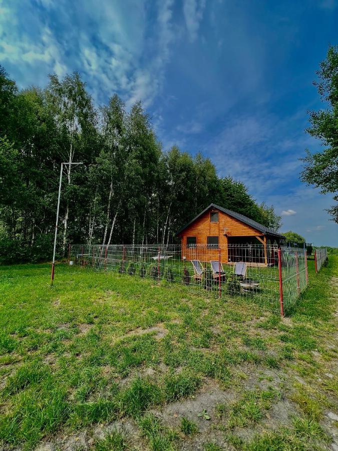 Domek Letniskowy Pod Brzozami Na Roztoczu Wsrod Lasow, Zamosc, Krasnobrod, Zwierzyniec Adamow  Luaran gambar