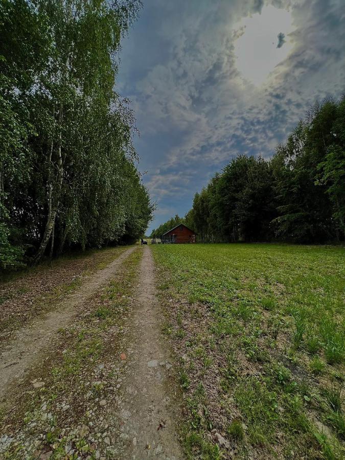 Domek Letniskowy Pod Brzozami Na Roztoczu Wsrod Lasow, Zamosc, Krasnobrod, Zwierzyniec Adamow  Luaran gambar