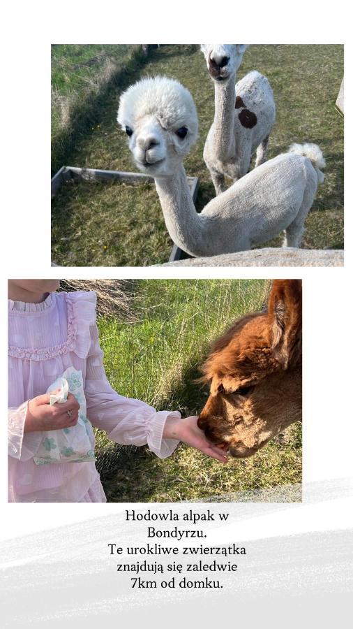 Domek Letniskowy Pod Brzozami Na Roztoczu Wsrod Lasow, Zamosc, Krasnobrod, Zwierzyniec Adamow  Luaran gambar