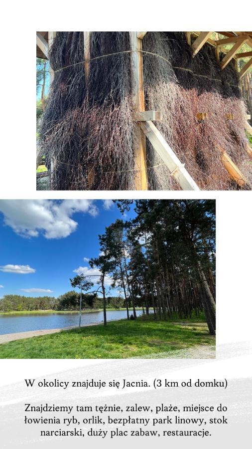 Domek Letniskowy Pod Brzozami Na Roztoczu Wsrod Lasow, Zamosc, Krasnobrod, Zwierzyniec Adamow  Luaran gambar