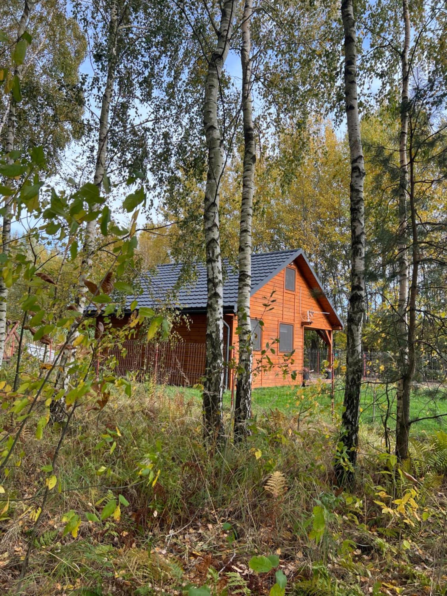 Domek Letniskowy Pod Brzozami Na Roztoczu Wsrod Lasow, Zamosc, Krasnobrod, Zwierzyniec Adamow  Luaran gambar