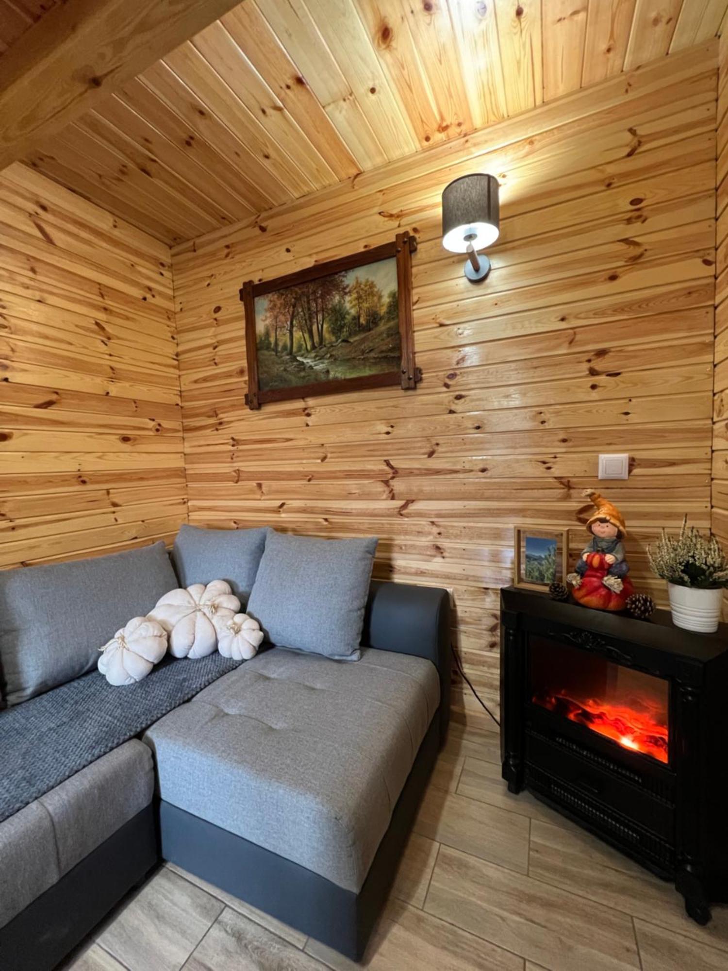Domek Letniskowy Pod Brzozami Na Roztoczu Wsrod Lasow, Zamosc, Krasnobrod, Zwierzyniec Adamow  Luaran gambar